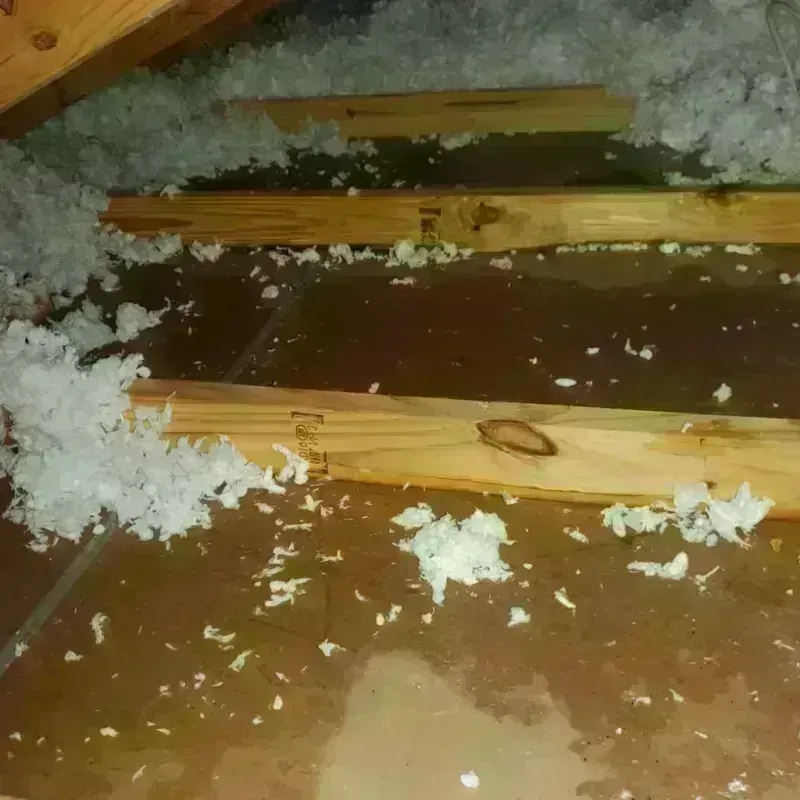 Attic Water Damage in Potter County, SD